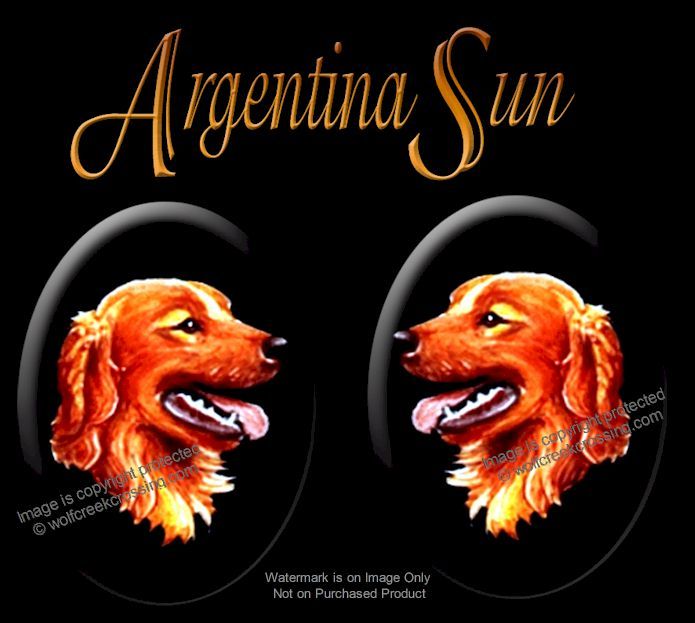 ARGENTINA SUN GOLDEN RETRIEVER JEWELRY SET Earrings Necklace DOG Post PIERCE Pup