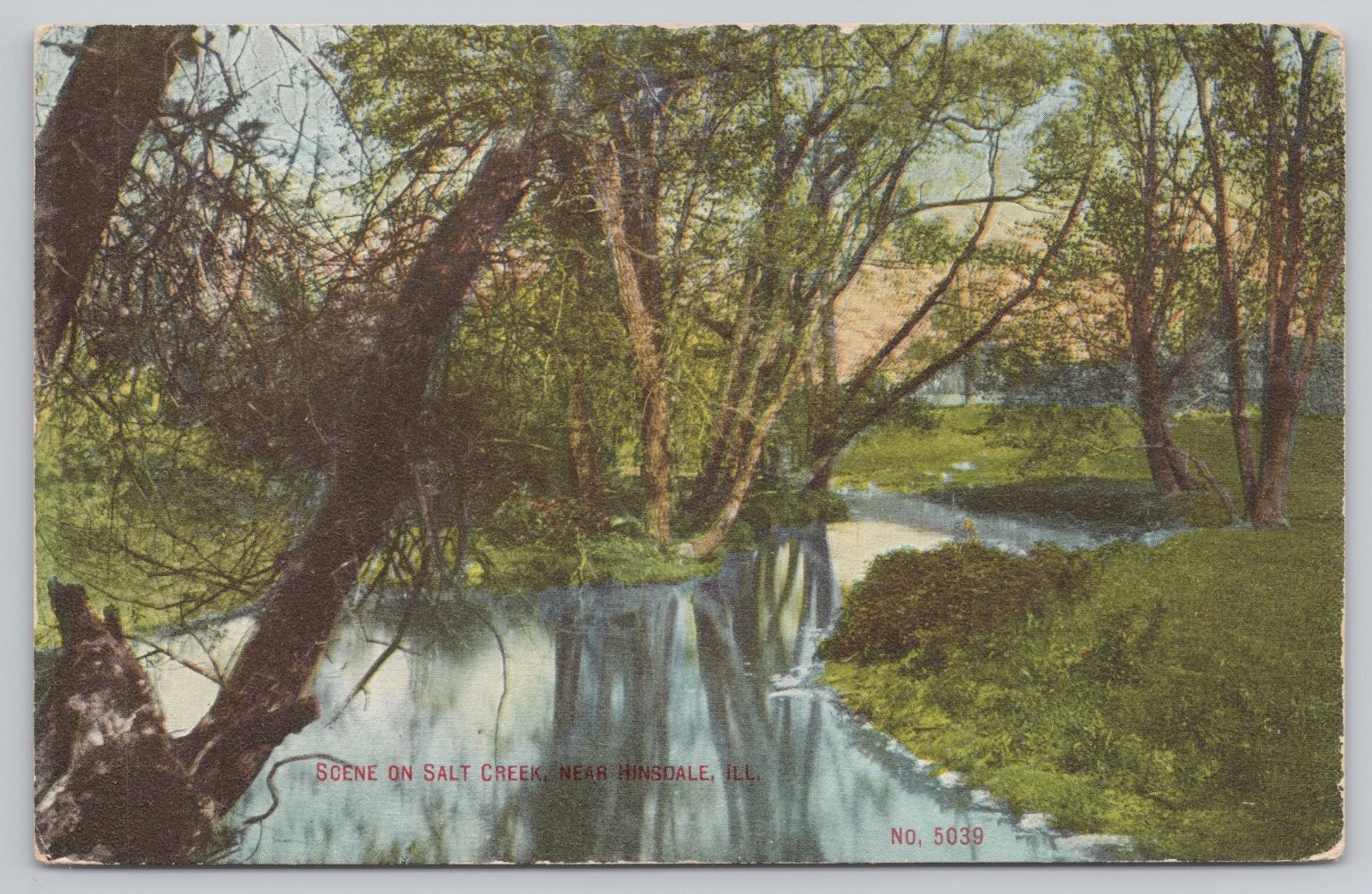 Vintage Postcard Scene on Salt Creek Near Hinsdale Illinois No.5039