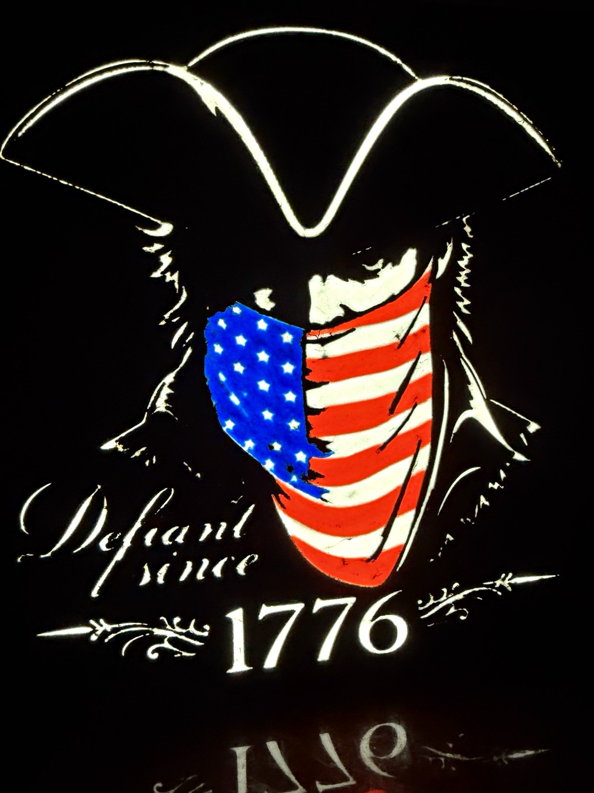 Patriotic Defiant Since 1776 Lighted Decorative Sign Panel Black Red White Blue