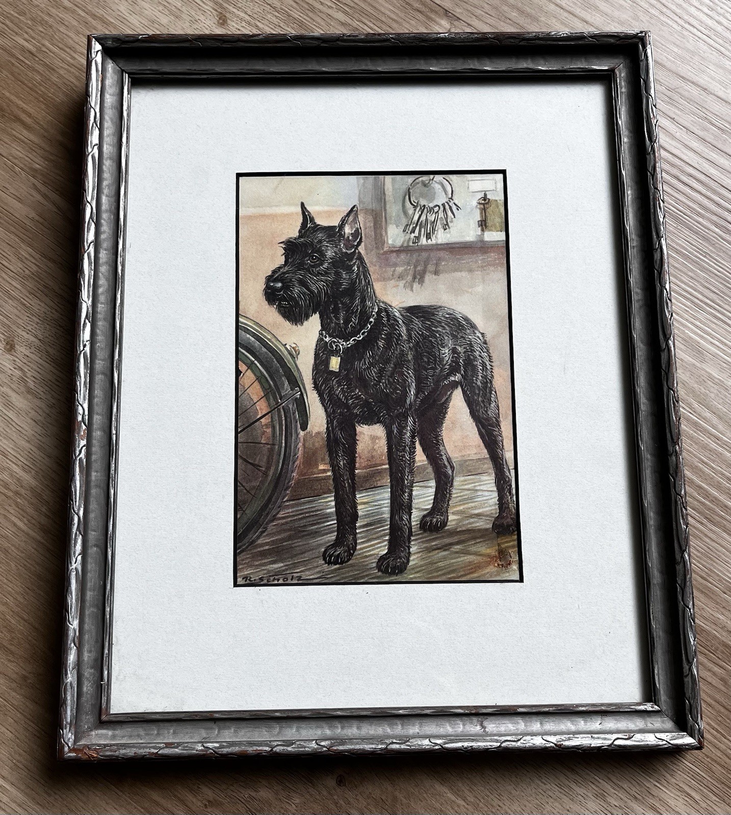 VTG breed portrait of a Giant Schnauzer By Robert Scholz. Framed