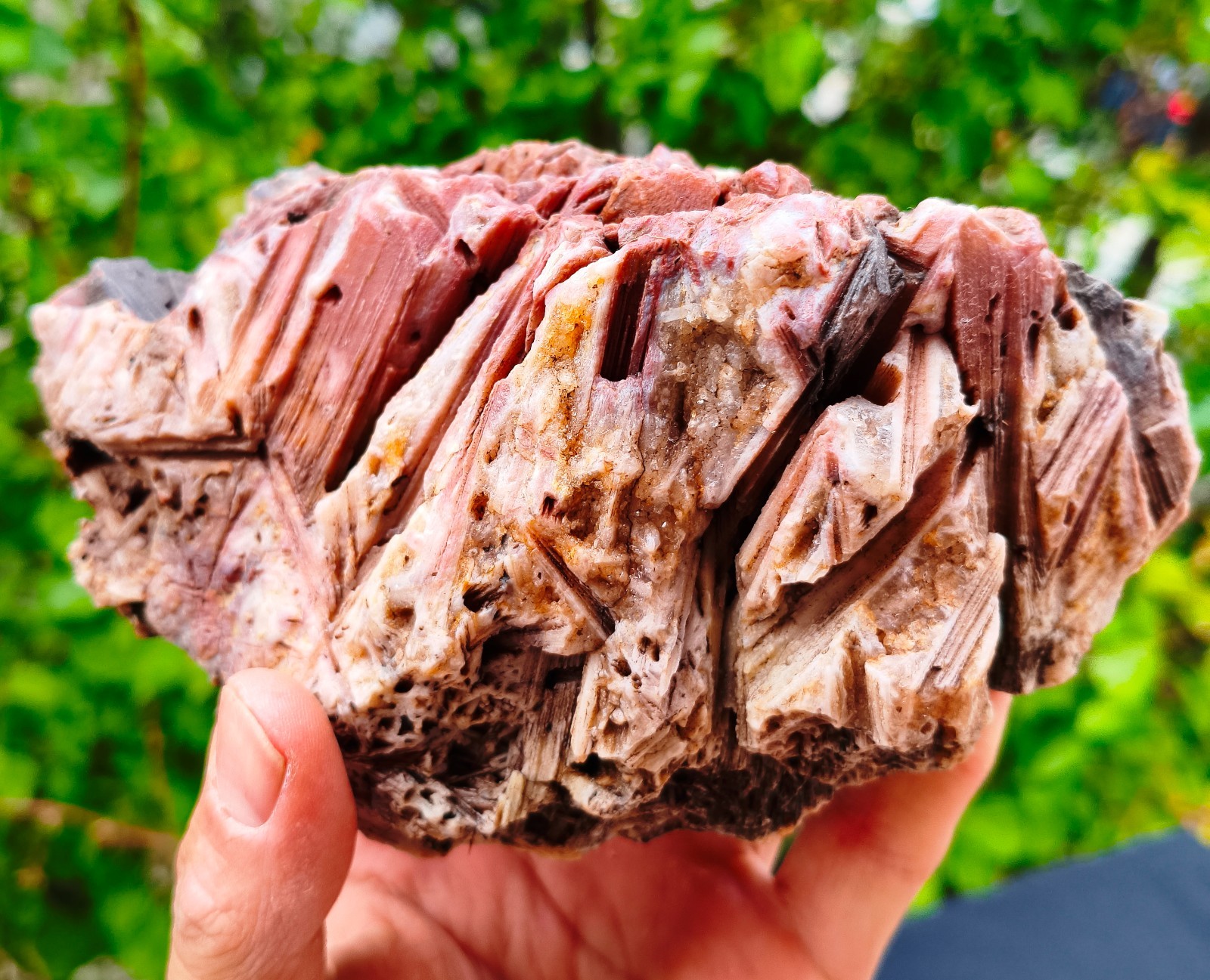 2 Lb 14.42 Oz Extremely Rare Red Raw Stick Rare Agate