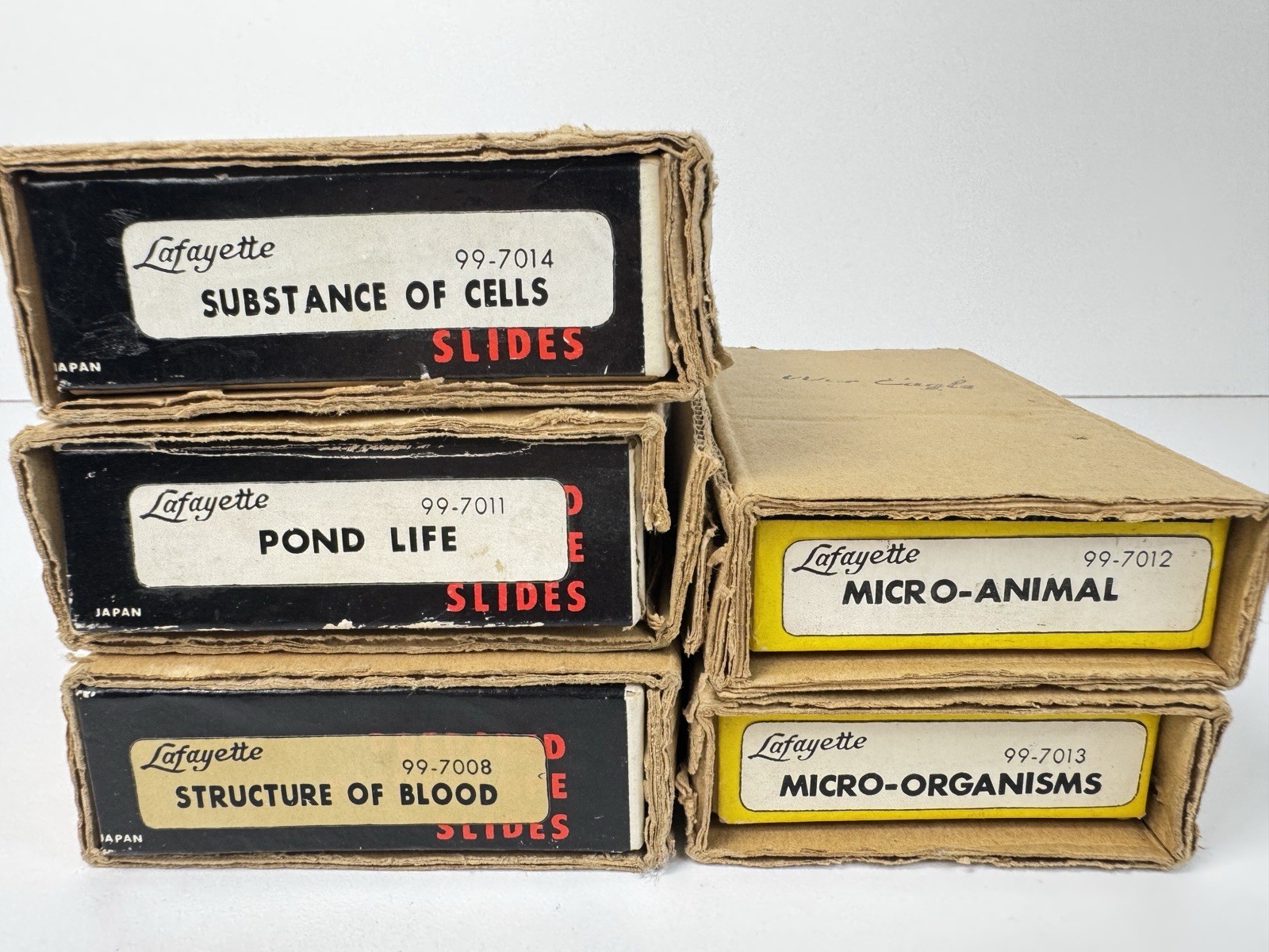 Vintage Lafayette Prepared Microscope Slides Lot of 5 Complete Japan Biology
