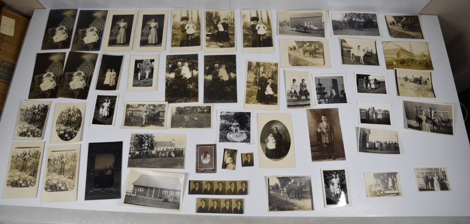 50+ Antique Victorian Family Portraits Original B&W Sepia Tone Americana Farm