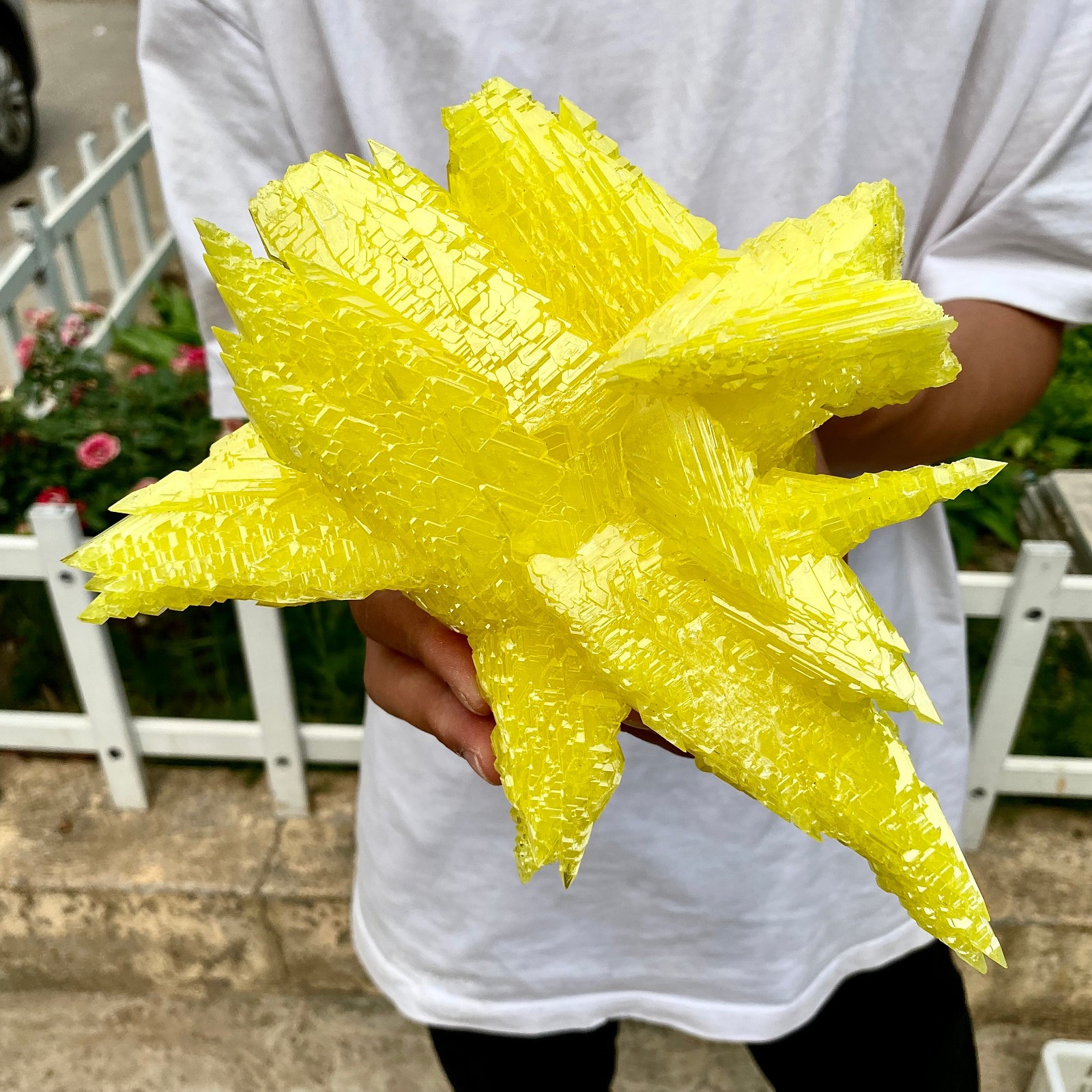 2.1LB Minerals ** LARGE NATIVE SULPHUR OnMATRIX Sicily