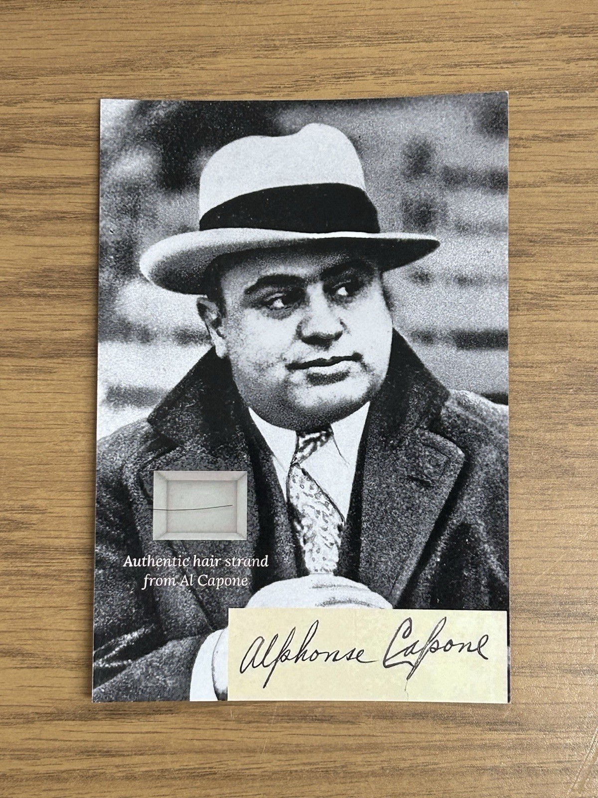 Al Capone Hair Strand Lock Relic Collectible Mafia Chicago Gangster Gang museum