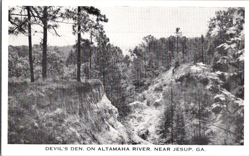 Vintage Postcard Devil\'s Den Altamaha River near Jesup GA Georgia          H-415