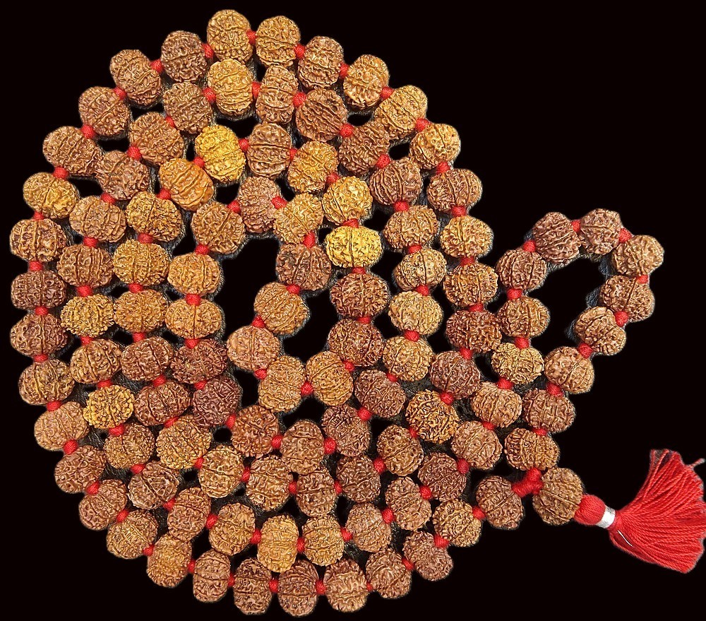 Rare 9 Mukhi Rudraksha Kantha Mala - Durga Shakti Rudraksha Mala - Nepal Beads