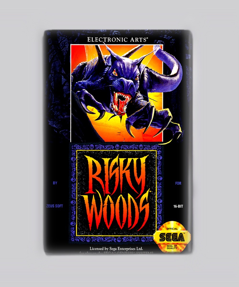 Risky Woods  / Sega Genesis - 2