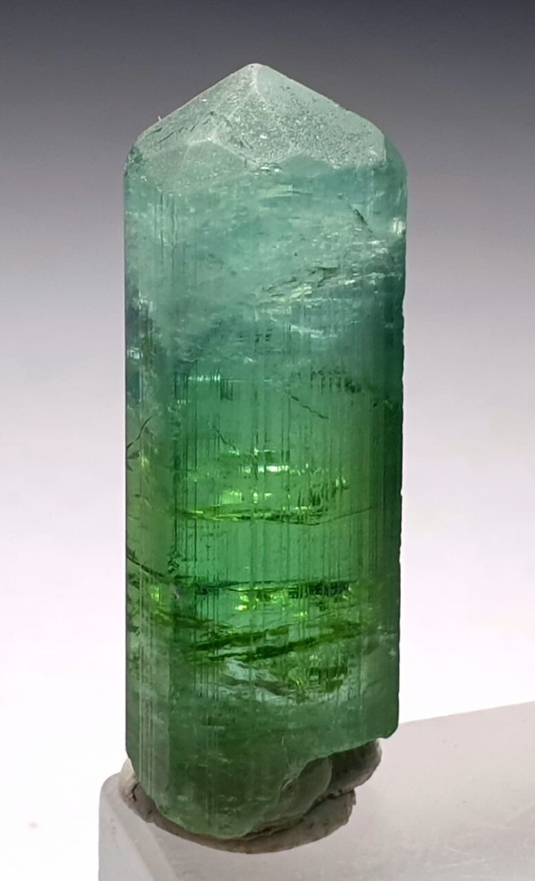Tourmaline 32cts Terminated Bicolour Crystal