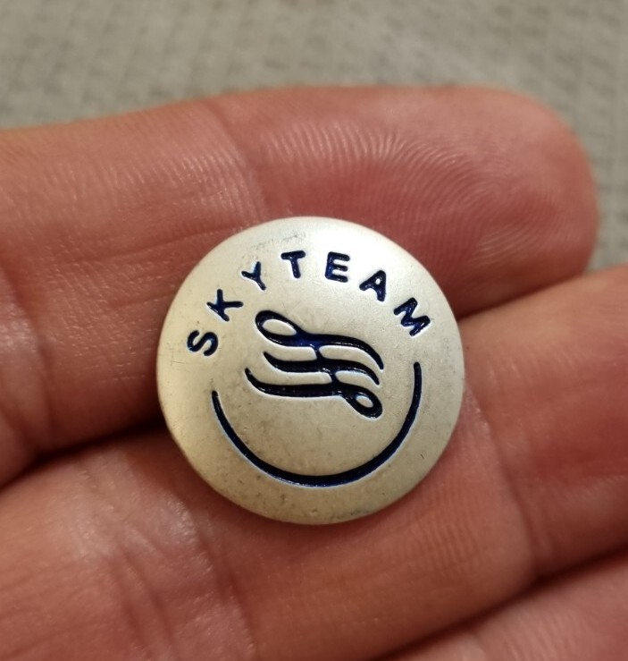 SKYTEAM Pin's Rare, Collection, Vintage Collector