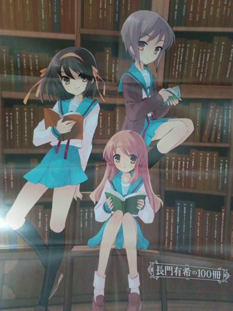 the melancholy of Haruhi Suzumiya folded poster Yuki Nagato\'s 100 Books