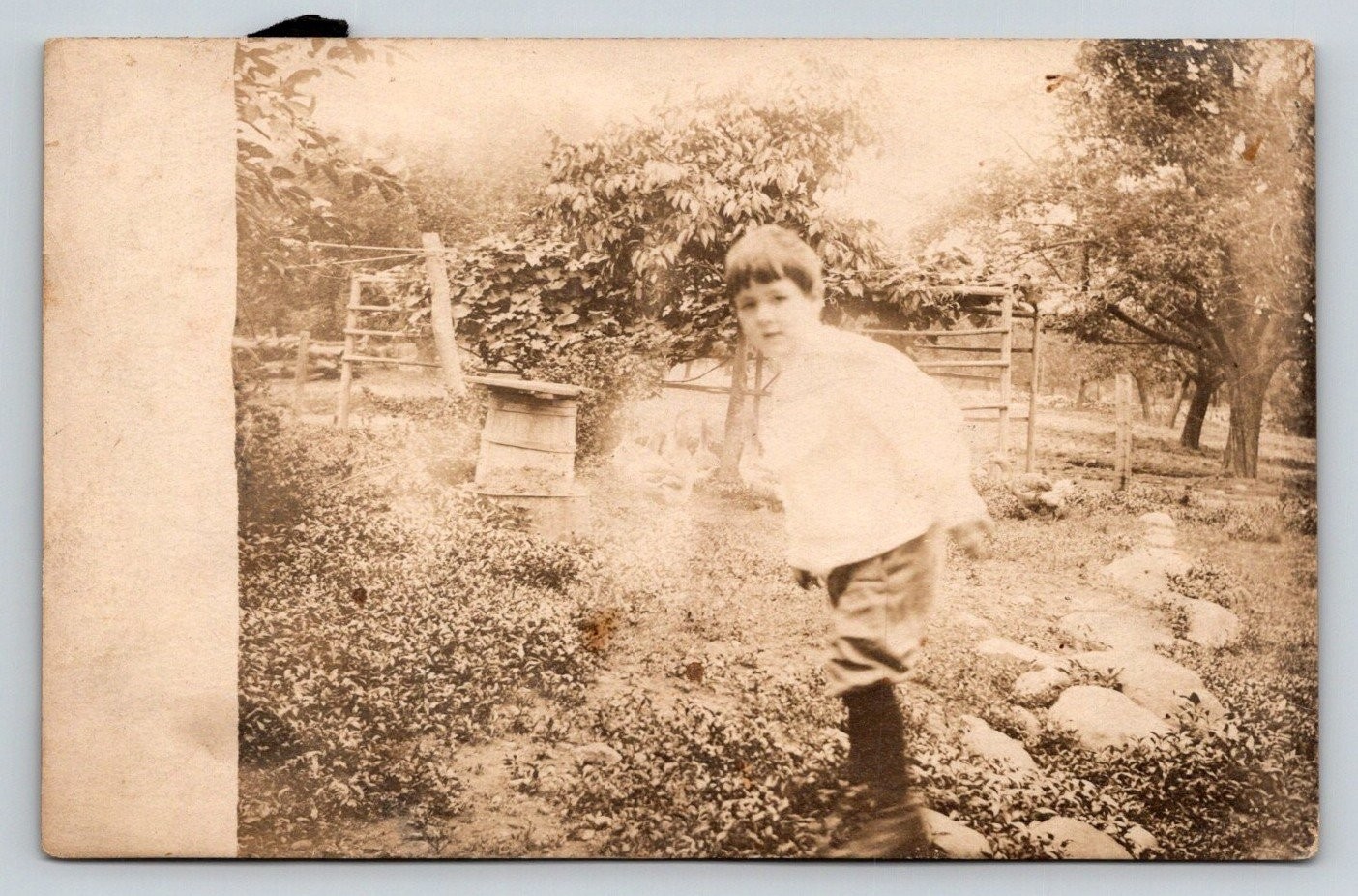 Vintage RPPC Young Boy Garden Rustic Scene Real Photo Postcard c1910s
