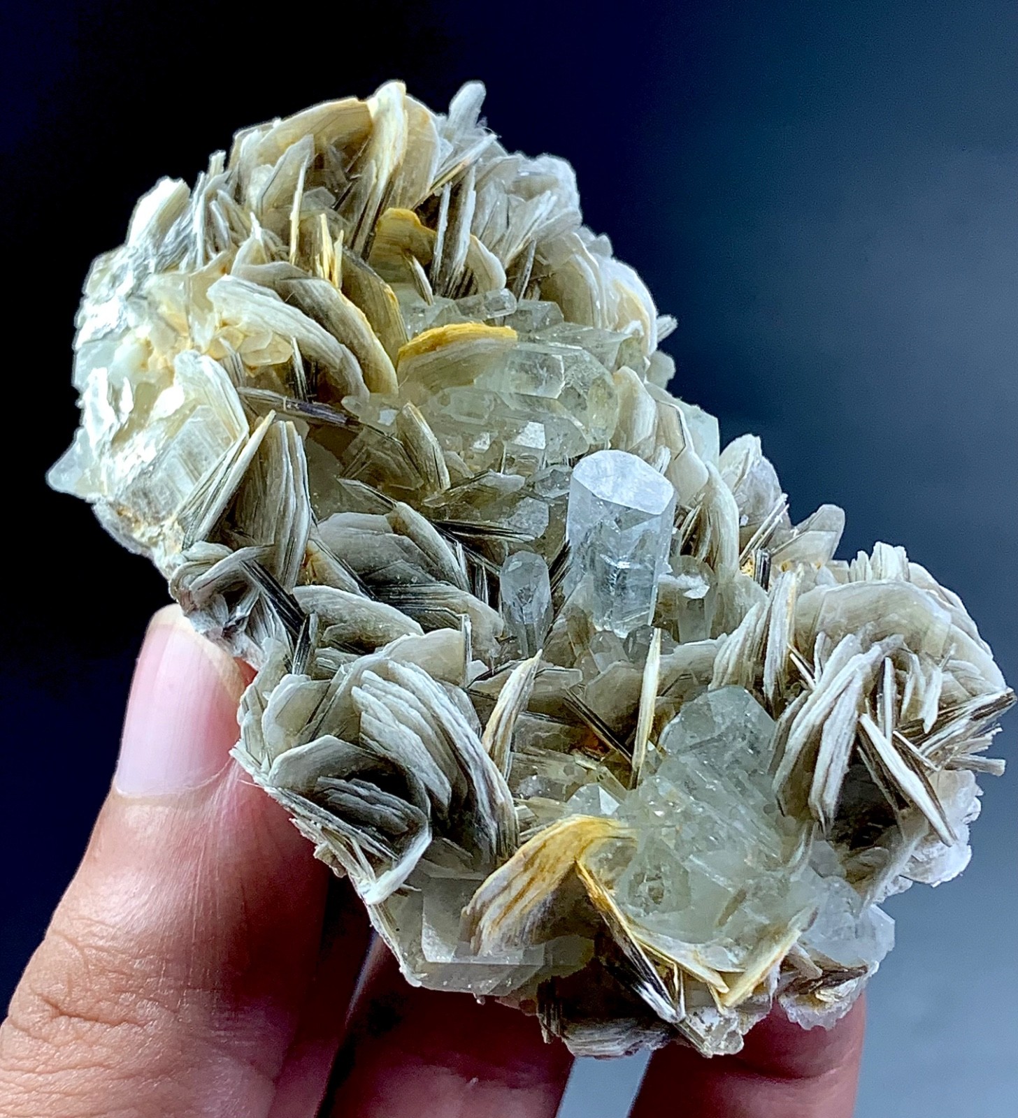 560 Carat Aquamarine crystal specimen From Pakistan