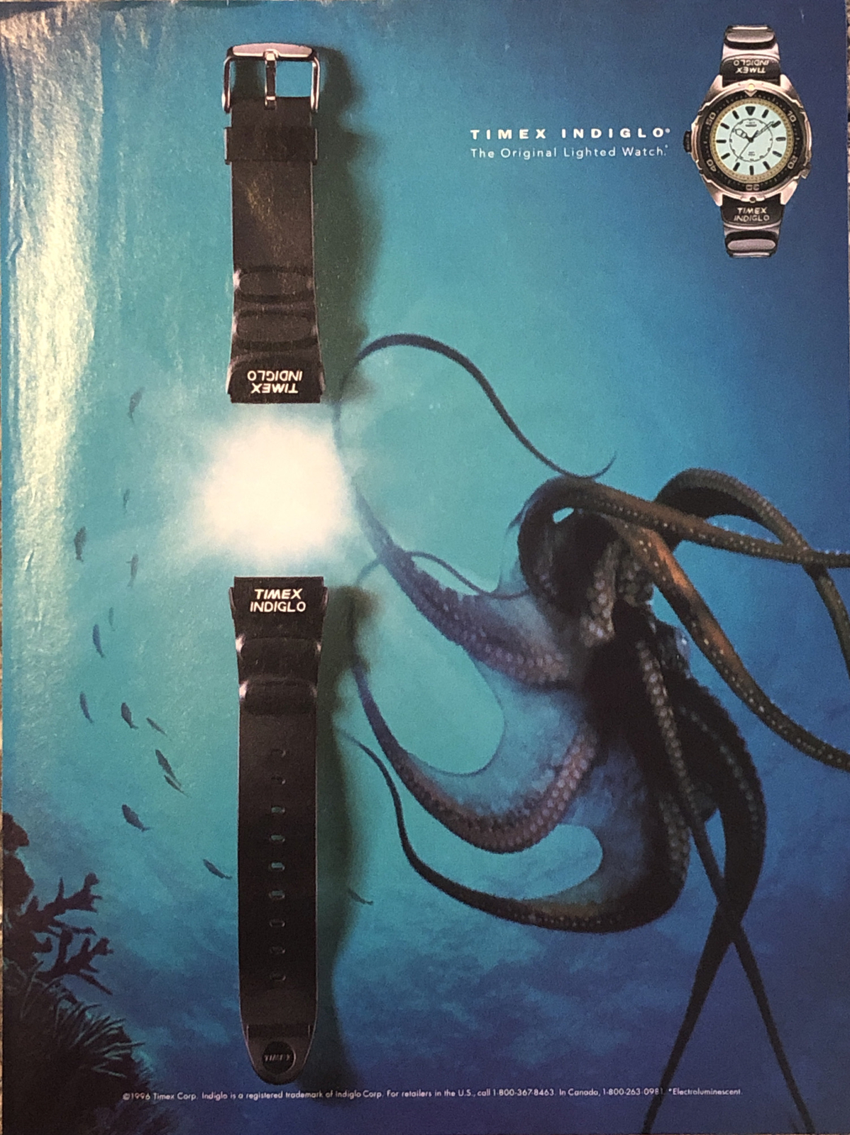 1996 Timex Indiglo PRINT AD Octopus Deep Sea - Original Lighted Watch VTG 1990s
