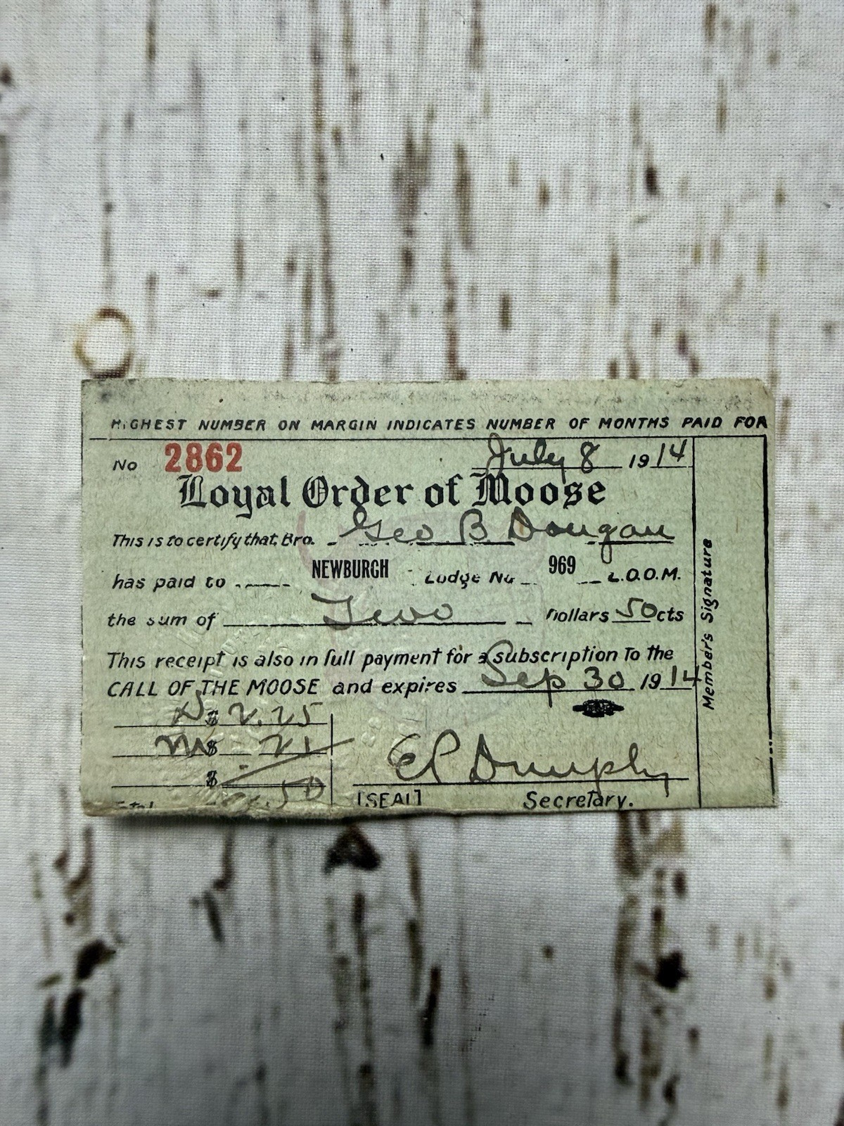 VTG Membership Member Card Annual Loyal Order Of Moose Lodge No 969 LOOM 1910s