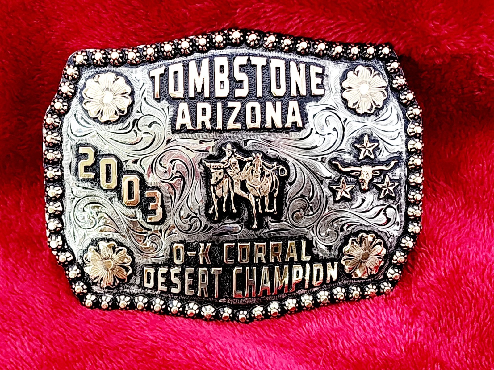 ROUGHSTOCK Rodeo Trophy Buckle☆CHAMPION BULLDOGGING☆Tombstone Arizona☆2003☆614