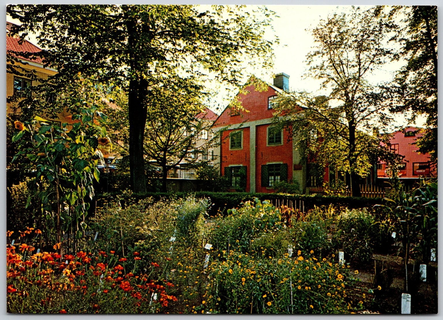 Vintage Uppsala Linné Museum Postcard with Garden Scene Sweden
