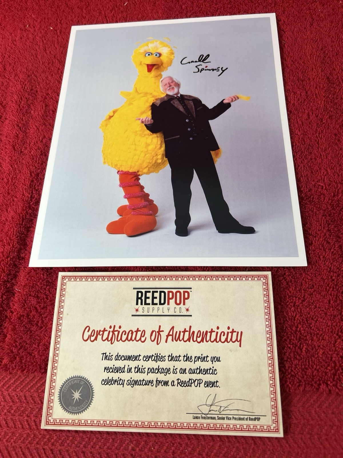1969-2016 Carroll Spinney & “Big Bird”  Signed 8 x 10