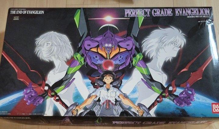 Rare Evangelion EVA-01 Test Type Pg Model Kit Figure 1/60