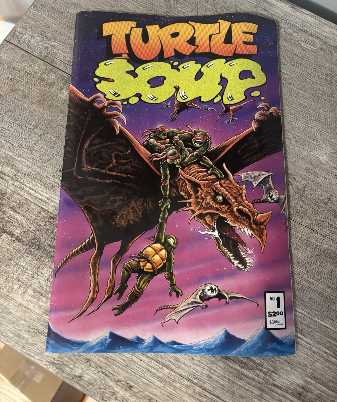 Turtle Soup #1 Mirage Studios 1987 TMNT Teenage Mutant Ninja Turtles 1st Print