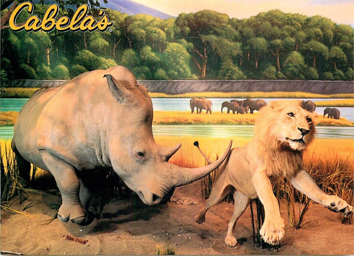 Postcard Cabela's Outdoor Store, Dundee, Michigan - African Rhinoceros