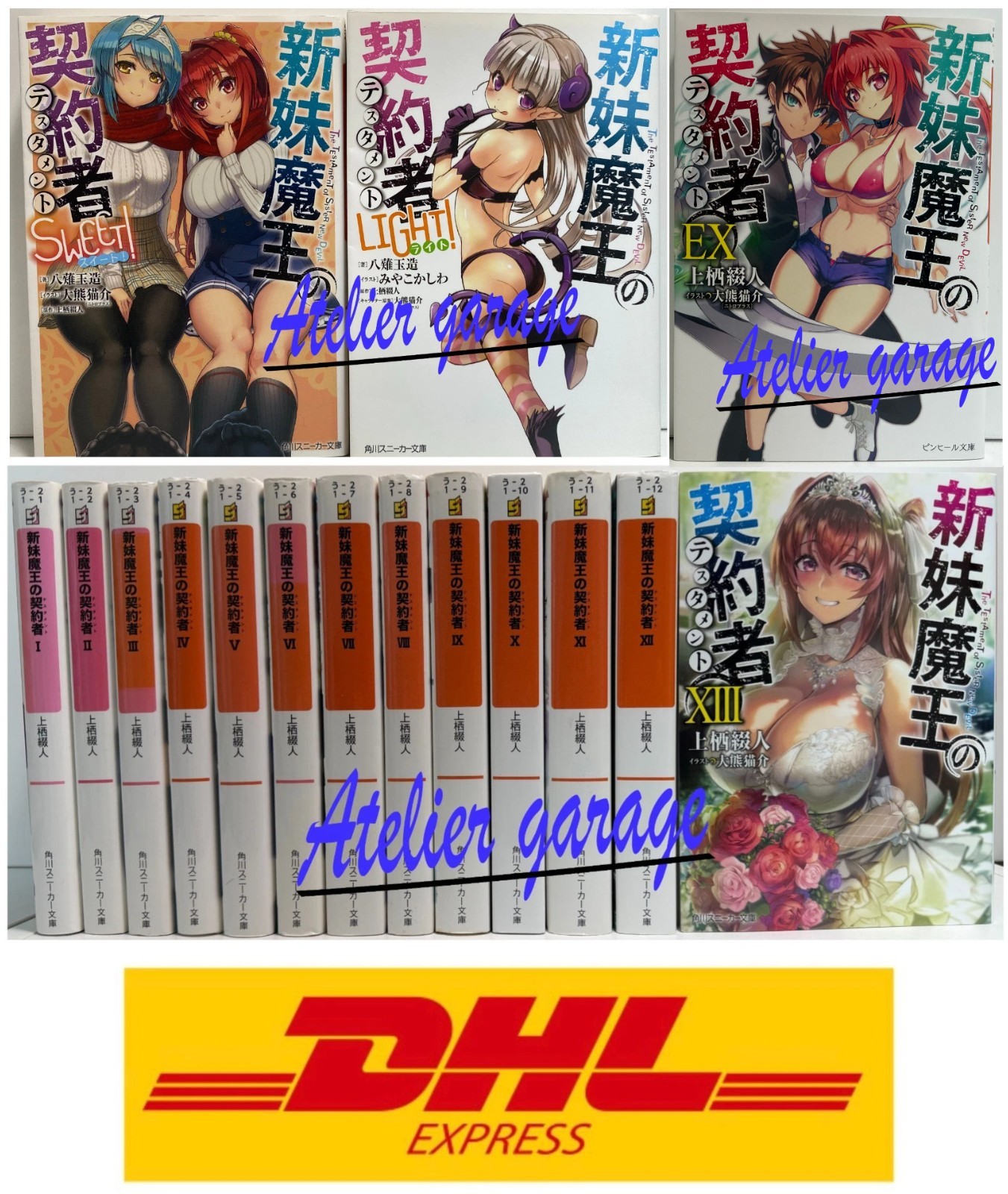The Testament of Sister New Devil 1-13+LIGHT & SWEET + EX 16 Set Japanese Novel