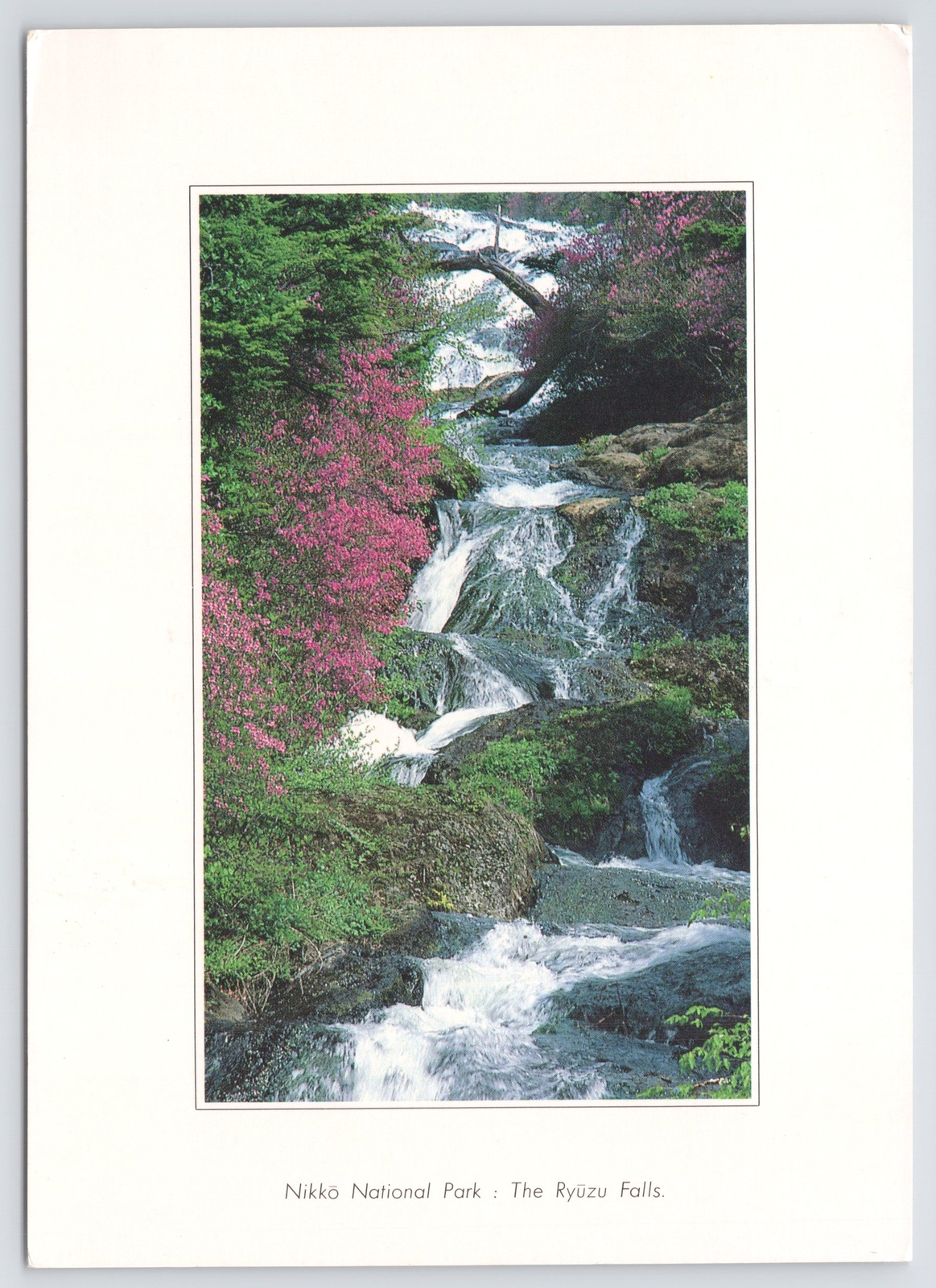Nikko National Park~Ryuzu Falls~Linen~Beautiful Waterfalls & Nature~Continental