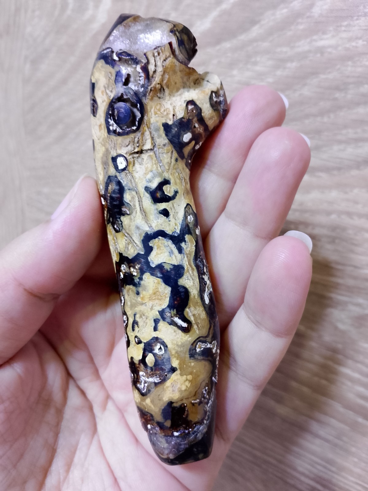 Genuine Black &gold Coral Branch 50gr Rare Natural Specimen &jewelry yusr Baladi