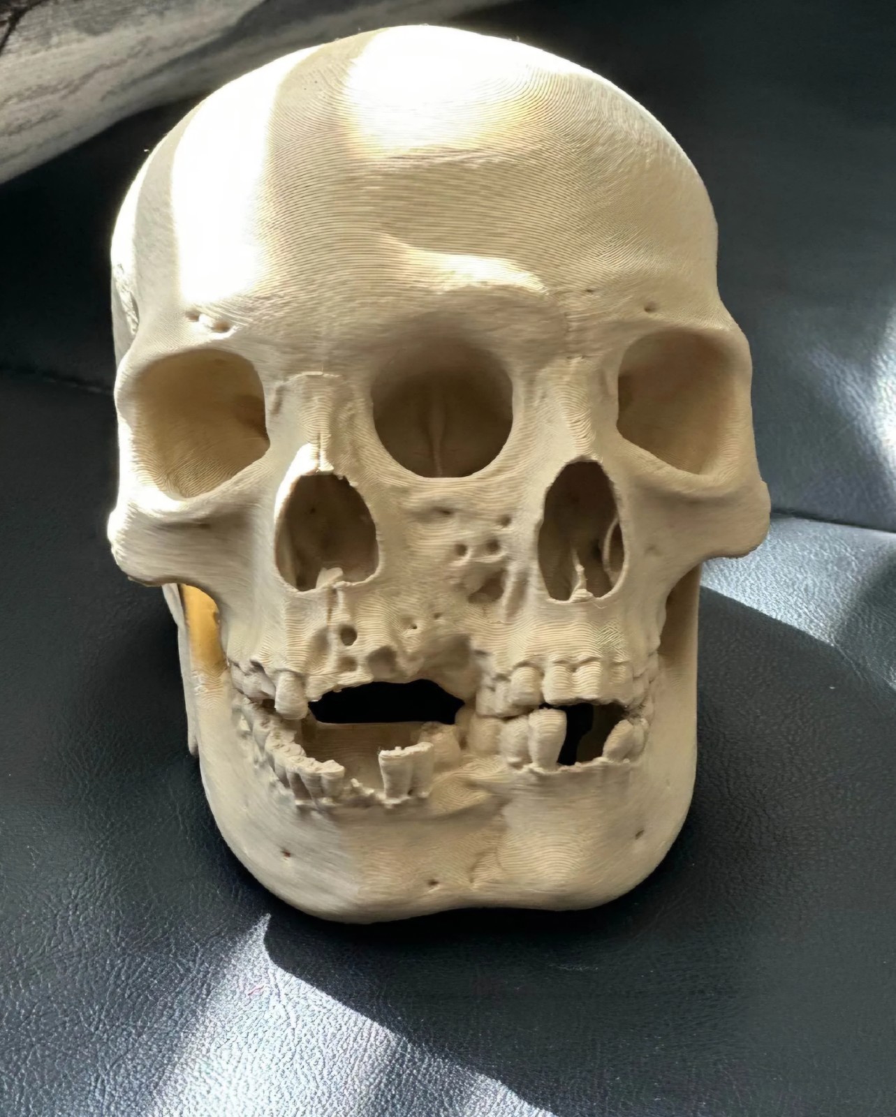 Two Faced Skull 3D Printed