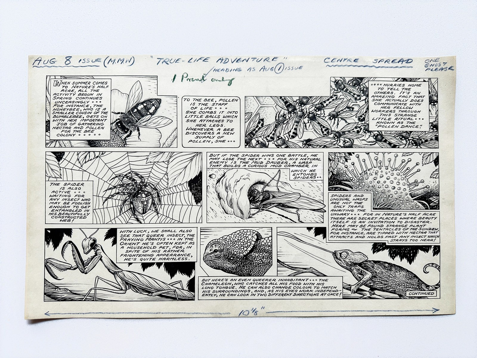 Original 1953 Disney Mickey Mouse Weekly Comic Art Basil Reynolds True Life