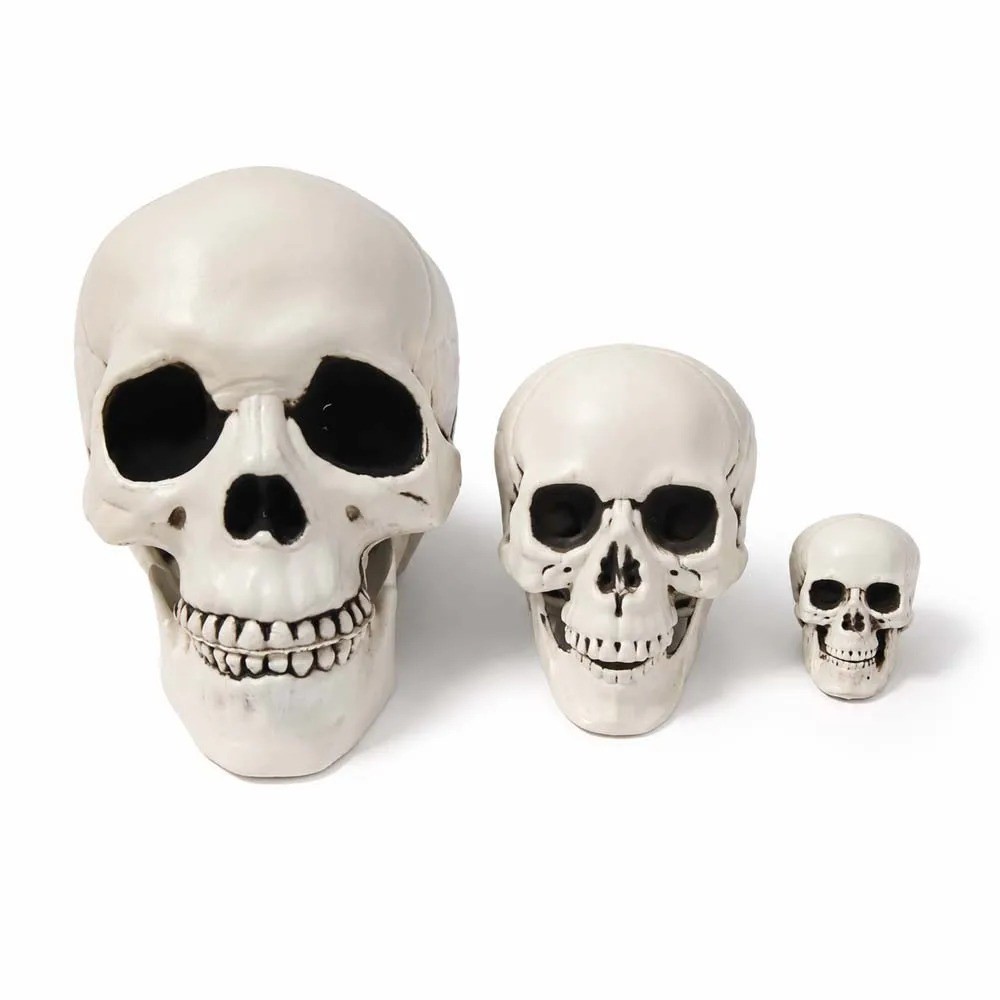 3 pc Halloween Skull Decoration,Realistic Plastic Skull,Head Skeleton