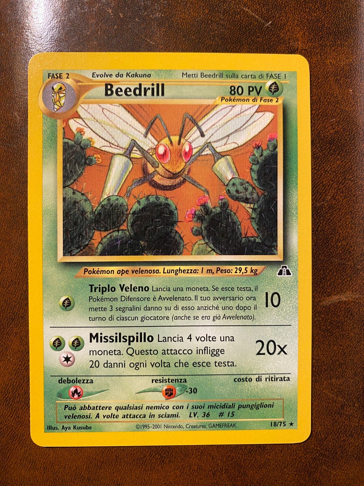 POKÉMON CARDS - NEO DISCOVERY EXPANSION (NEAR MINT)