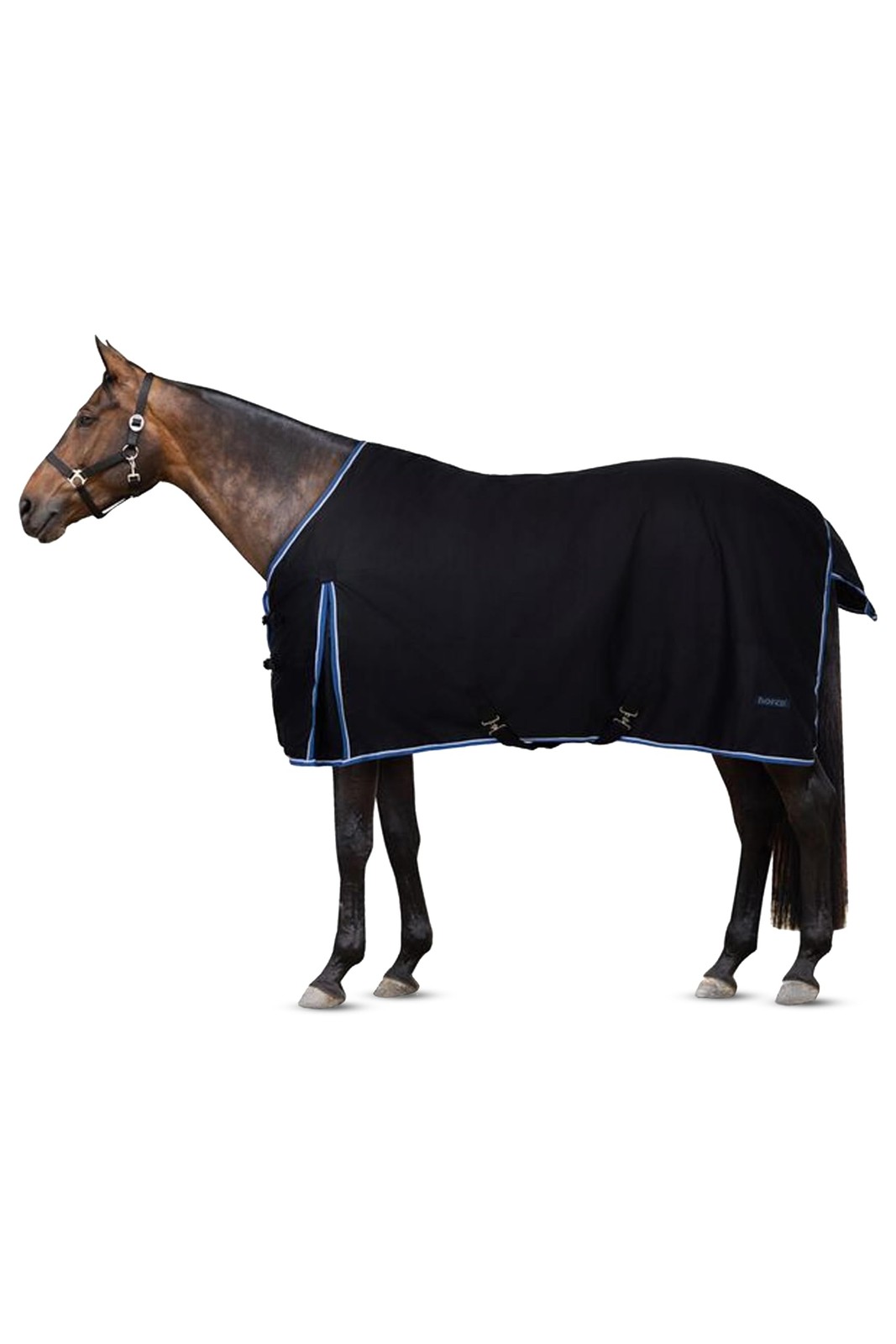 HORZE Glasgow Waterproof Winter Turnout Horse Blanket, 350g Fill, Dark Blue, 72