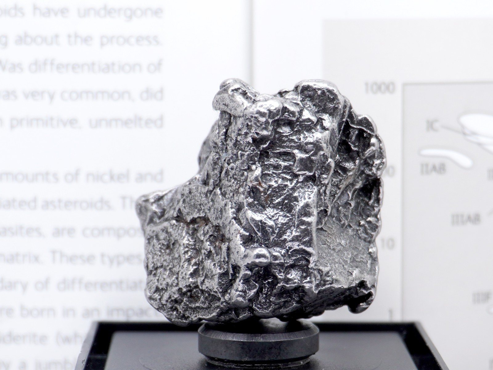 Authentic Campo del Cielo Meteorite | Certified Iron Space Rock from Argentina