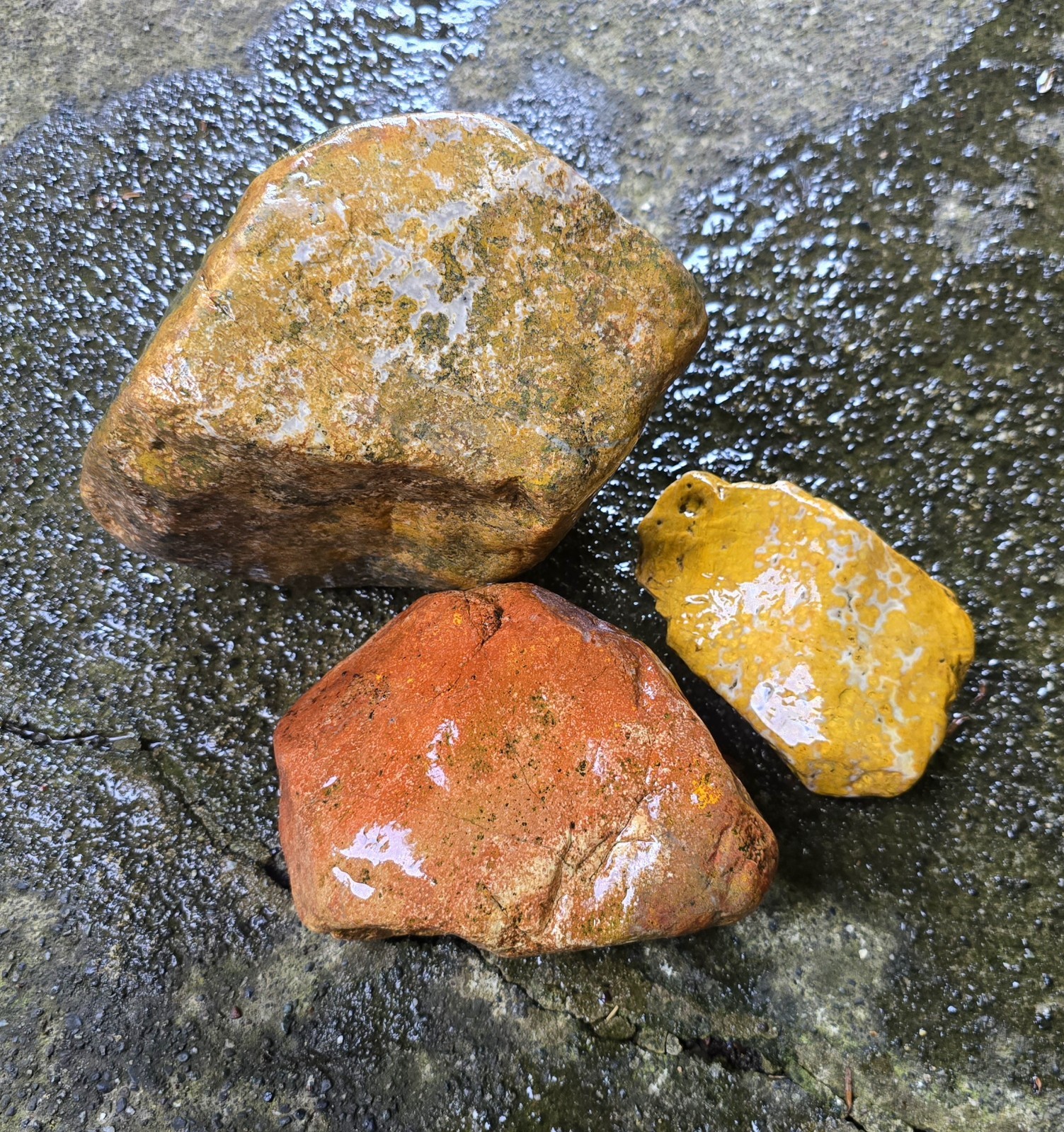 15 Pound Lot Of Premium Poppy Jasper