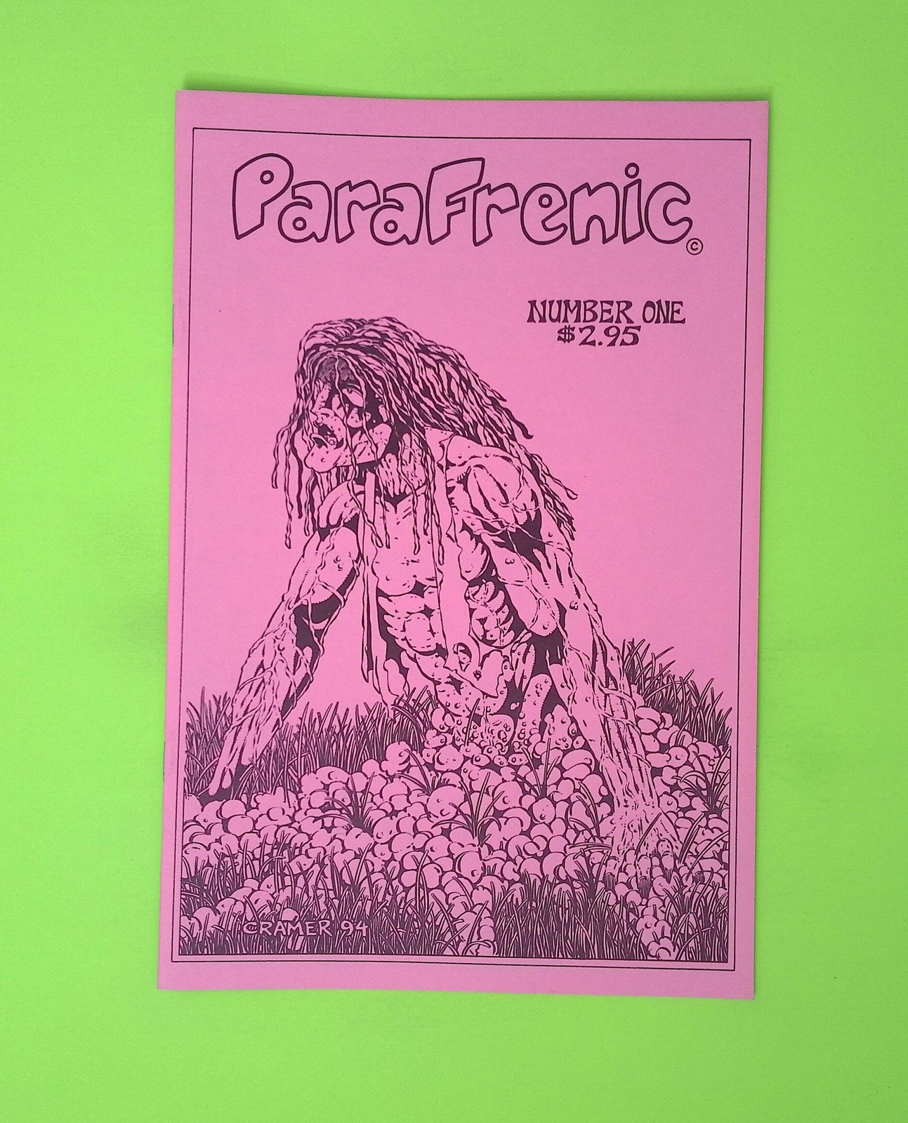 ParaFrenic #1 Calling All Heroes High Grade Comic Book Q139-167