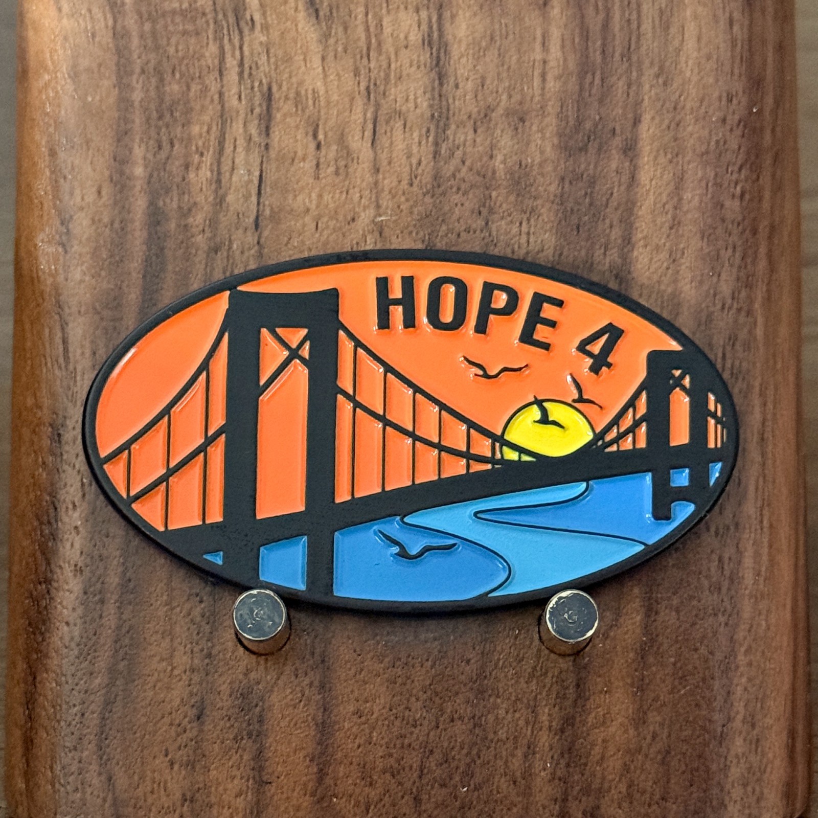 Hope 4 Bridge Themed 5 Years Anniversary Challenge Coin  W#22