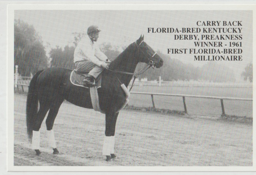 CARRY BACK Stallion Thoroughbred Horse Postcard KENTUCKY DERBY Winner 1961