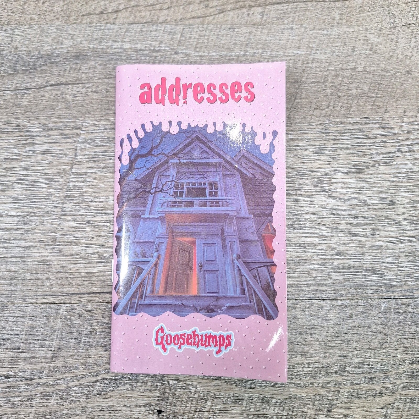 Vtg Goosebumps Address Book R.L. Stine Welcome To Dead House