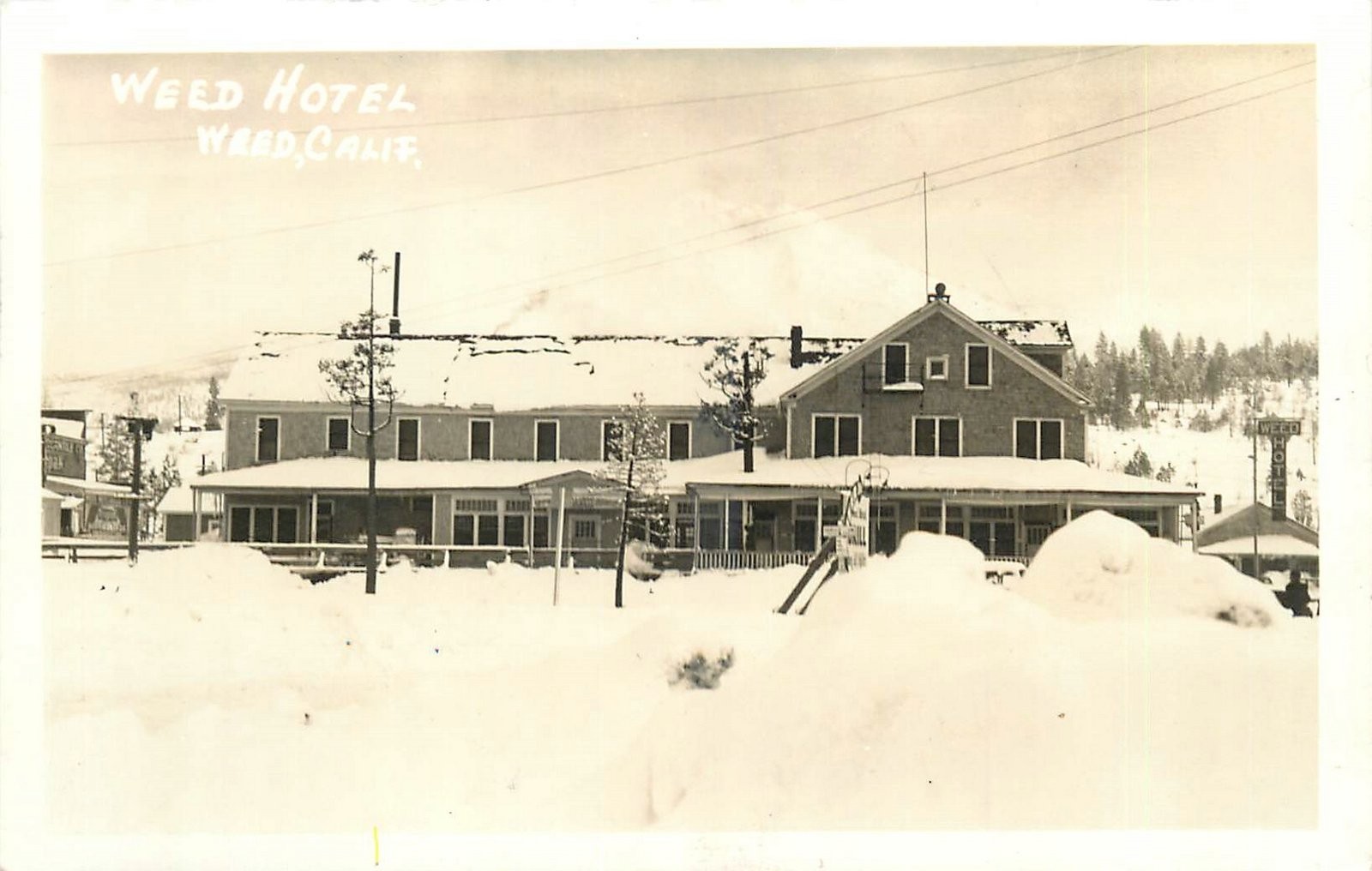 1930s Siskiyou Weed California Hotel occupation RPPC Postcard 26-4033