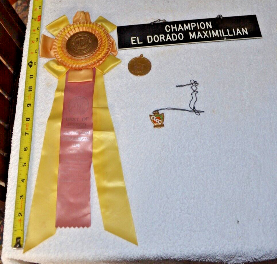 VINTAGE LOT  1966 AKC Best of Breed  CA SIERRA Doberman Ribbon and Medals