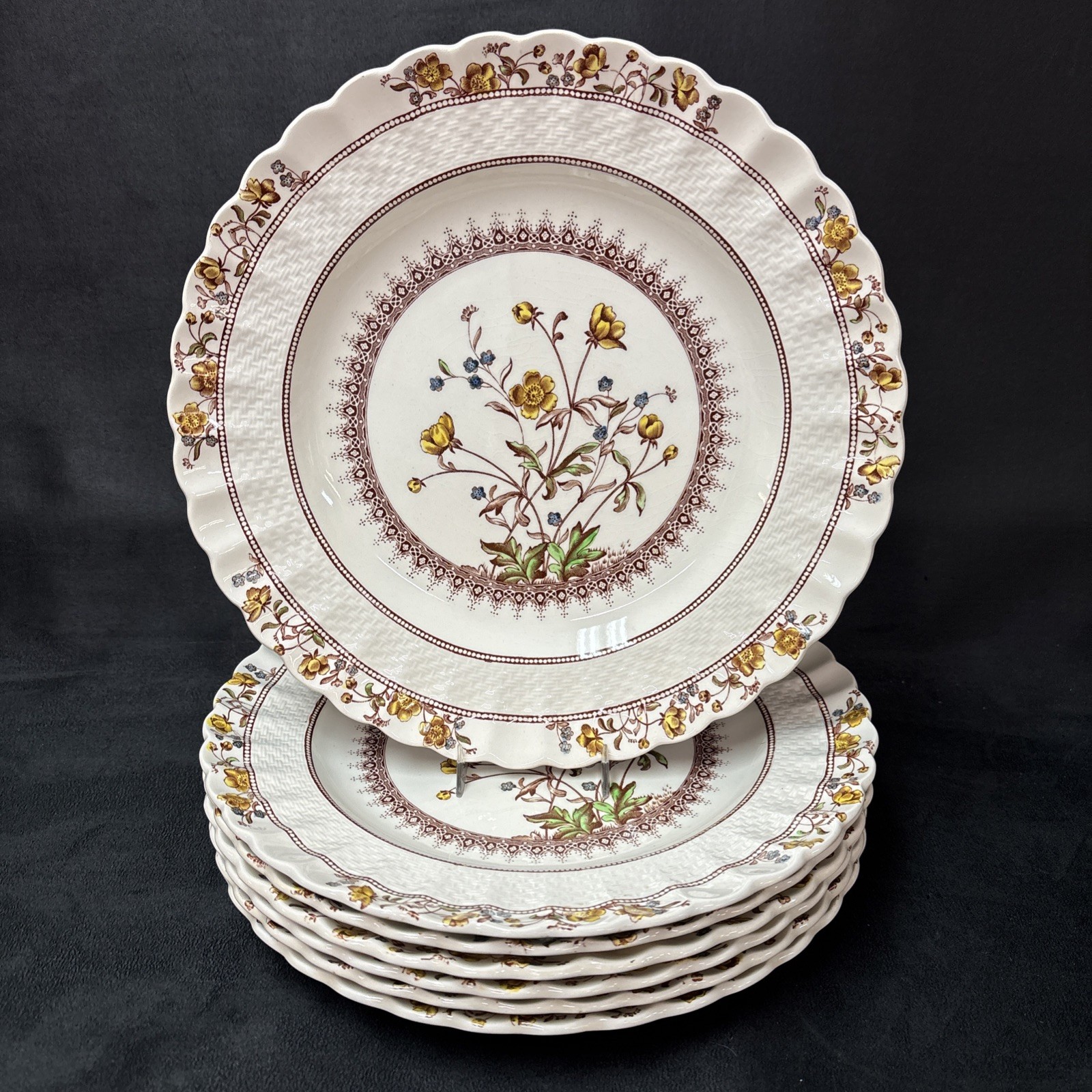 Copeland Spode BUTTERCUP Dinner Plate 10 1/2 Inches