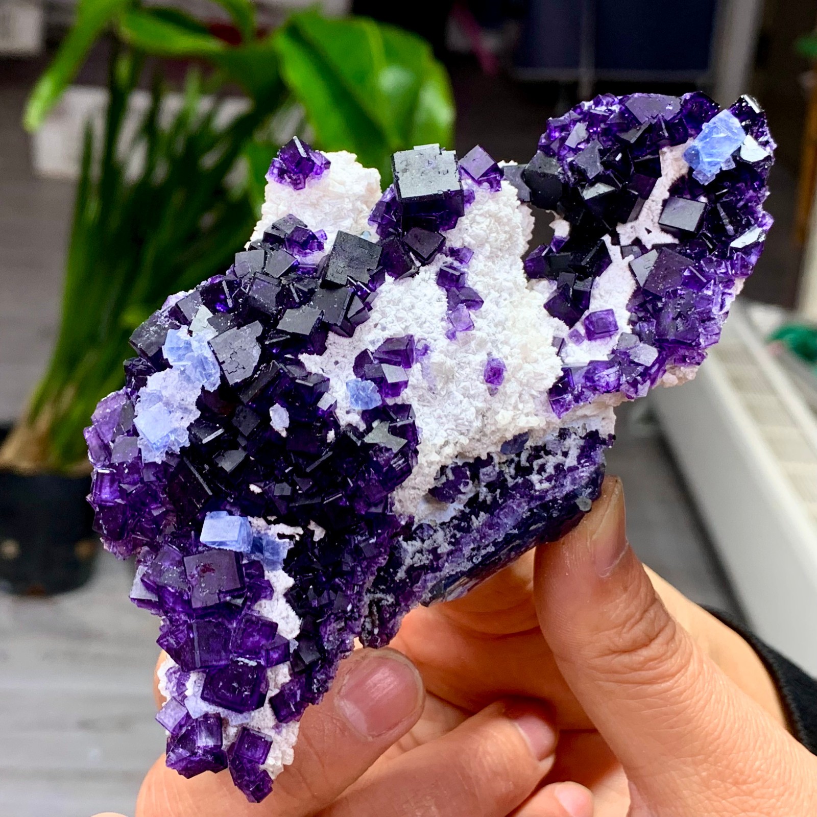 200G Rare transparent purple blue cubic fluorite mineral crystal sample/China