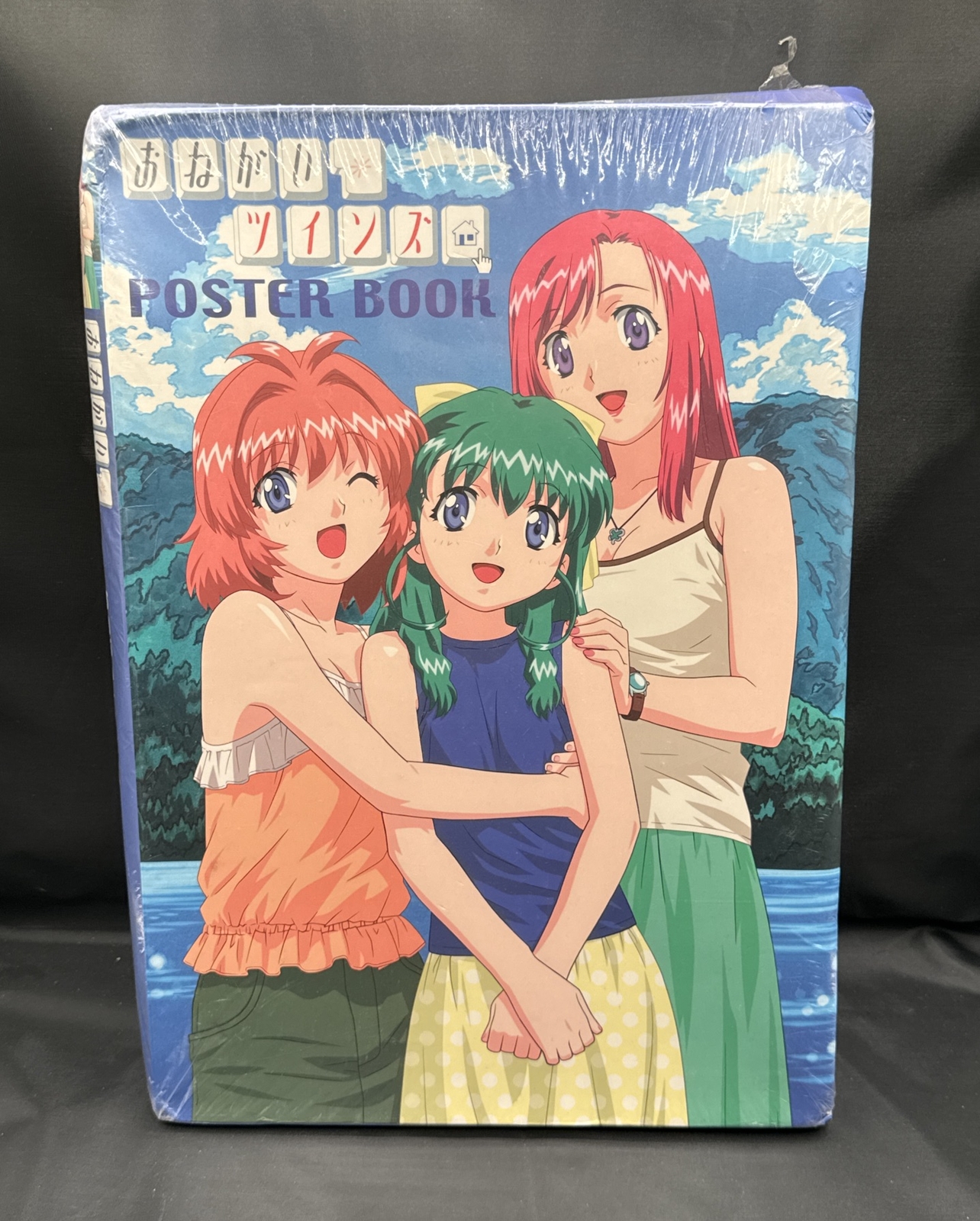 ART BOOK ONEGAI PLEASE TWINS POSTER BOOK BOX DAMAGE