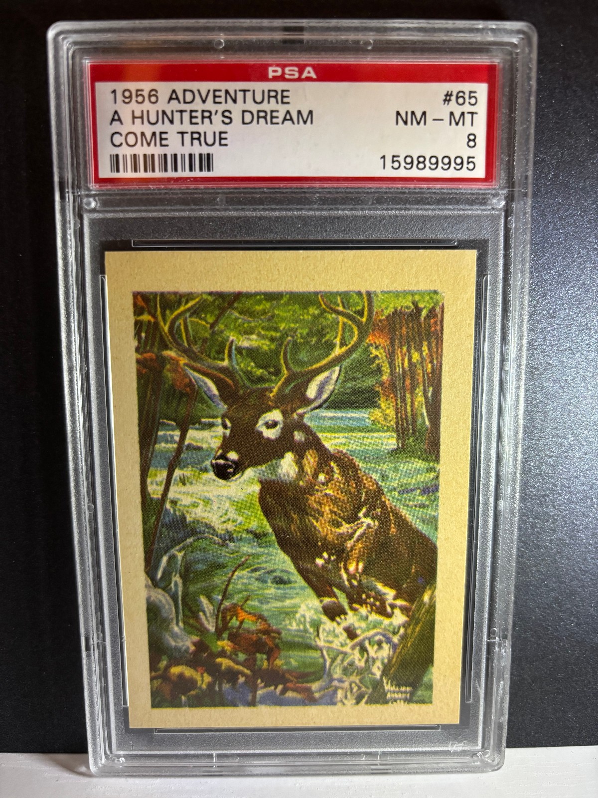1956 ADVENTURE A HUNTER`S DREAM PSA 8 NEAR MINT - MINT 8 POINT BUCK DEAR TYPE