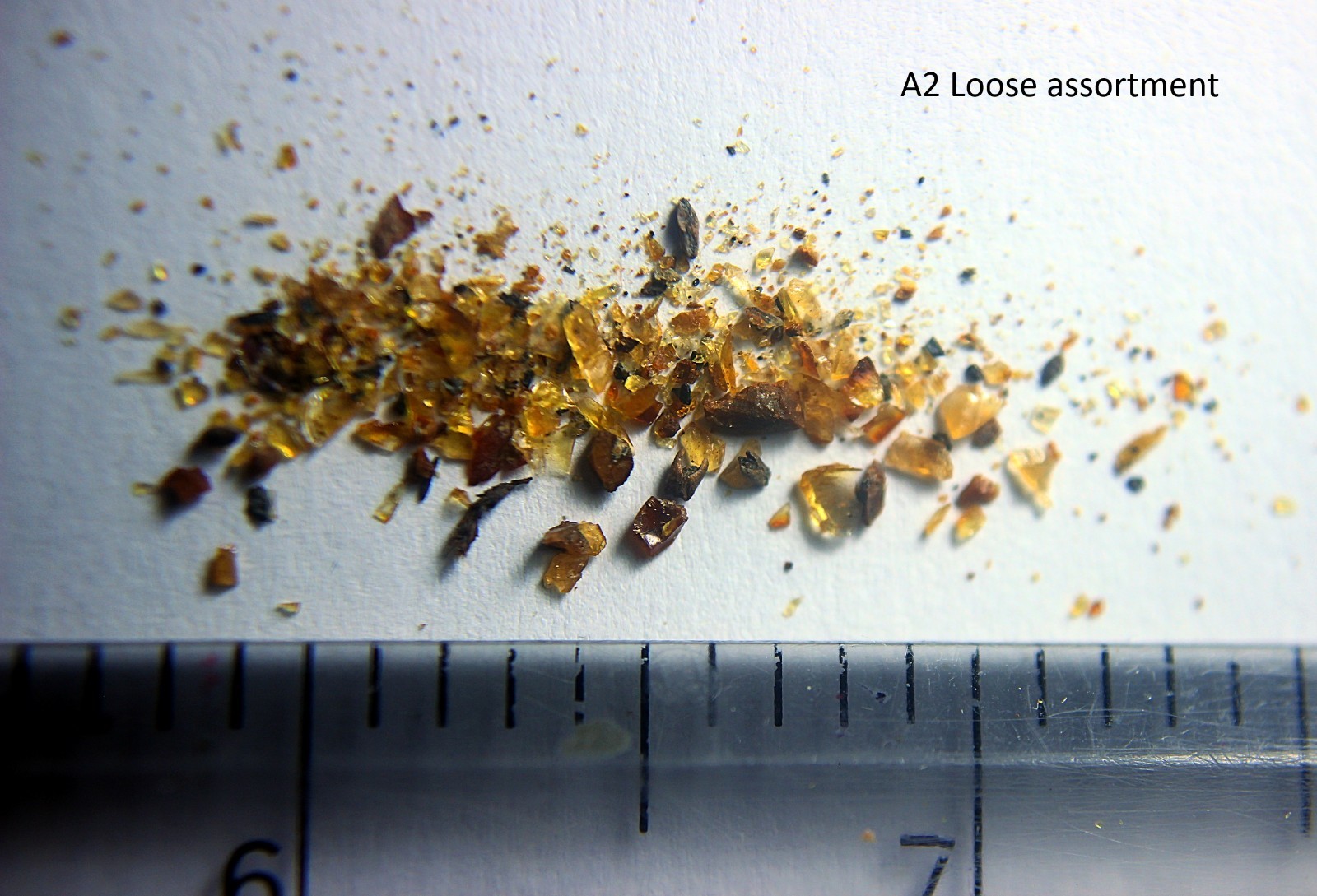 ULTRA SPECIAL - Original 2010 Research Material Dino Age UK Wealden Amber #2