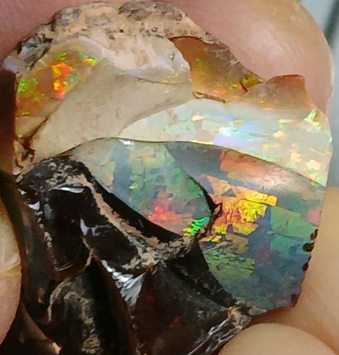 BIG 58ct Ethiopian Chocolate Shewa Opal  Rough ~ Multicolored Flash