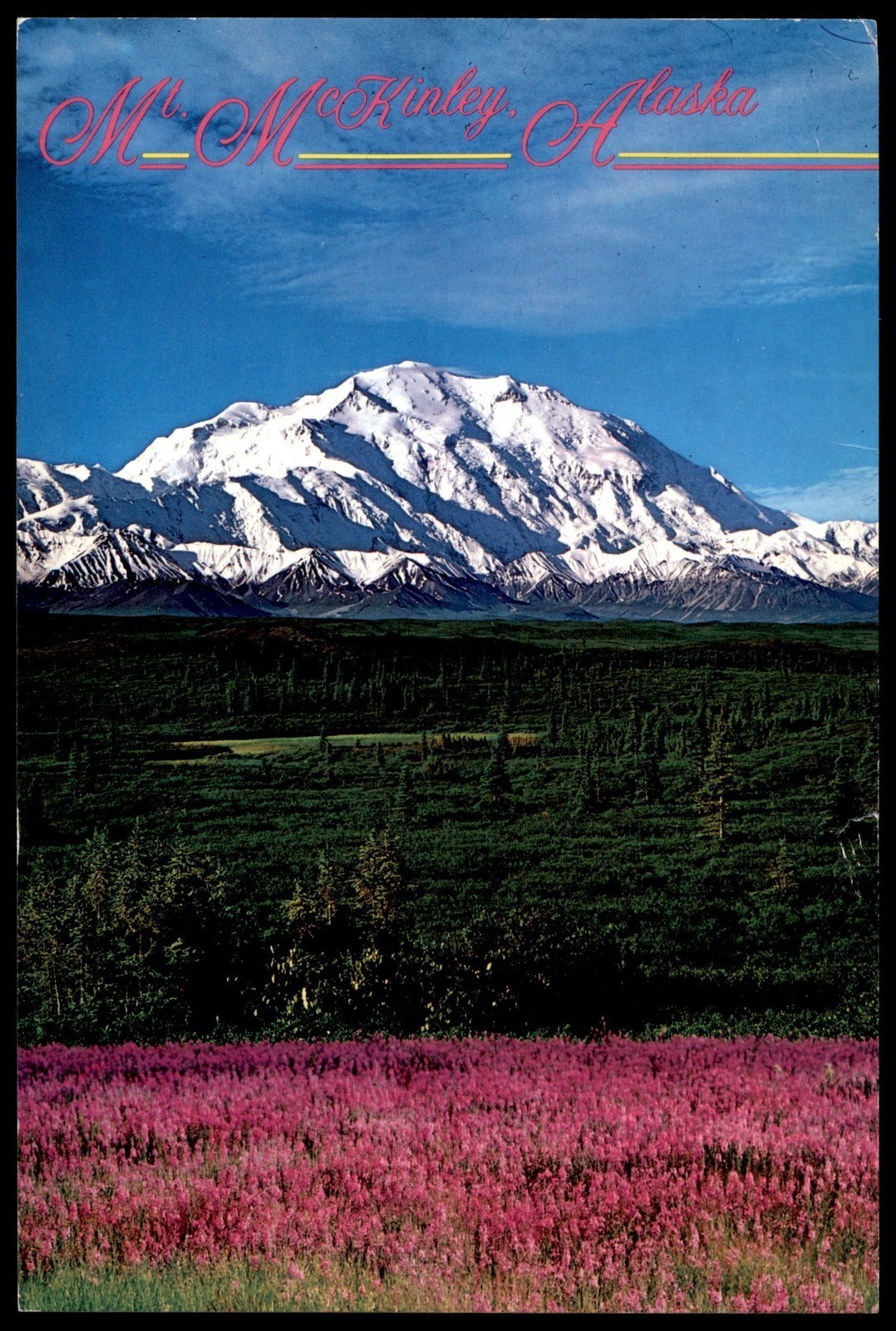 Vintage Mt. McKinley Alaska Postcard Denali National Park Scenic View