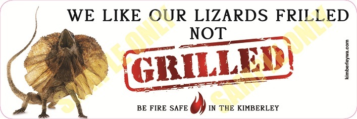 Frill Neck Lizard Bumper Sticker