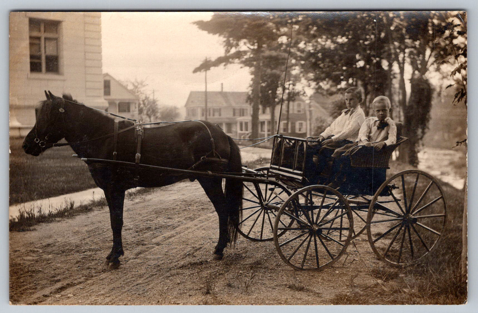 RPPC c1910s Two Young Boys Driving Wicker Basket Pony Cart Small Postcard